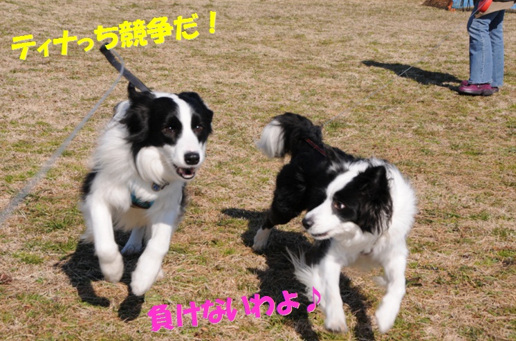 c0147241_10363270.jpg