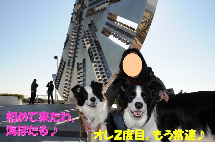 c0147241_10543932.jpg