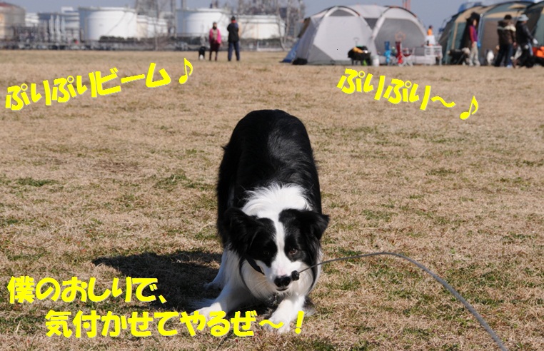c0147241_10591351.jpg