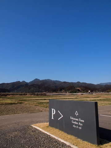 b0199742_8384832.jpg