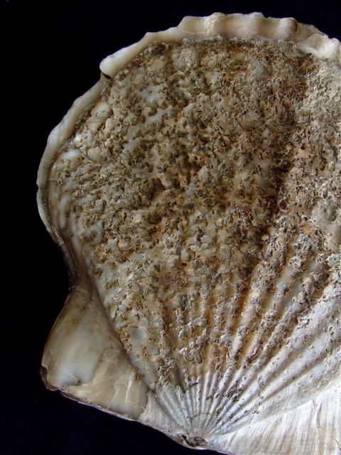 e0290546_17585195.jpg
