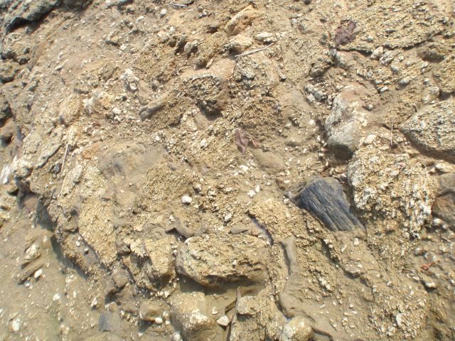 e0290546_17594249.jpg