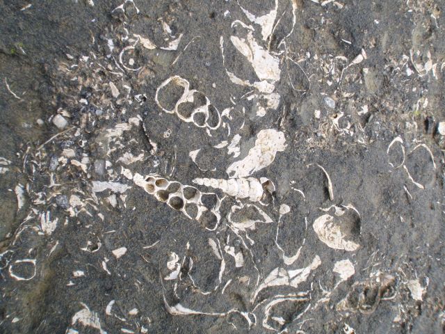 e0290546_17594453.jpg