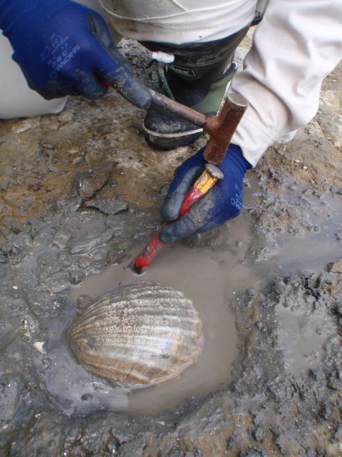 e0290546_17594913.jpg