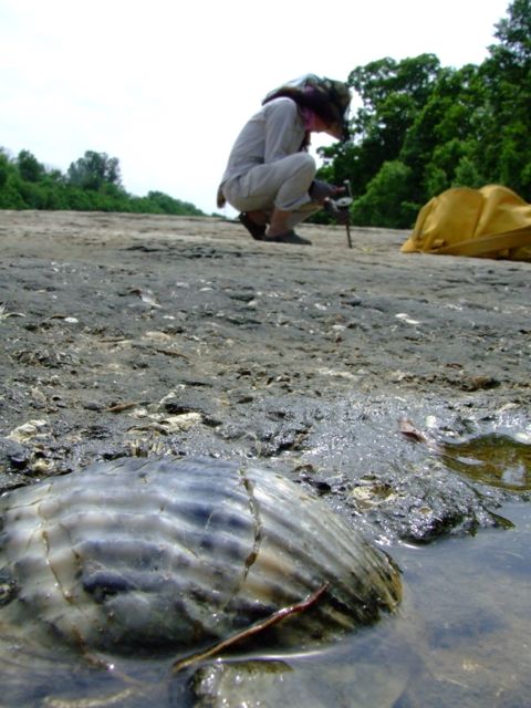 e0290546_1759566.jpg