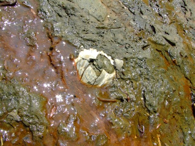 e0290546_1814070.jpg
