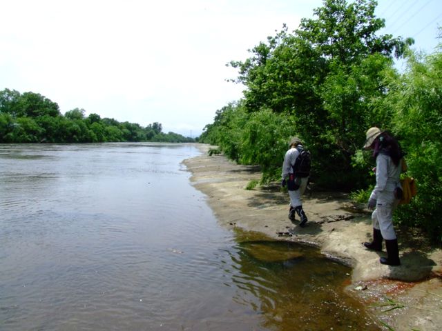 e0290546_1821049.jpg
