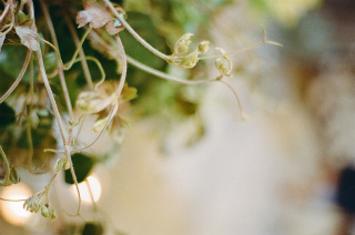 b0178548_2011214.jpg