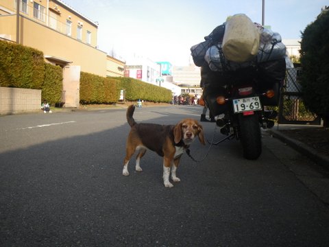 f0046250_12564530.jpg