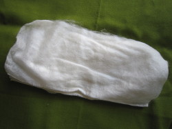 e0113254_1146221.jpg
