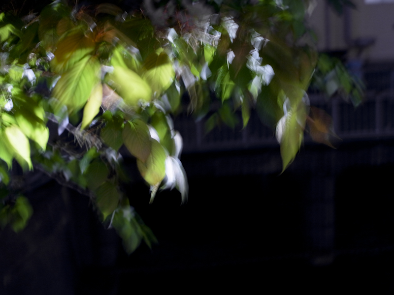 b0122664_0182367.jpg