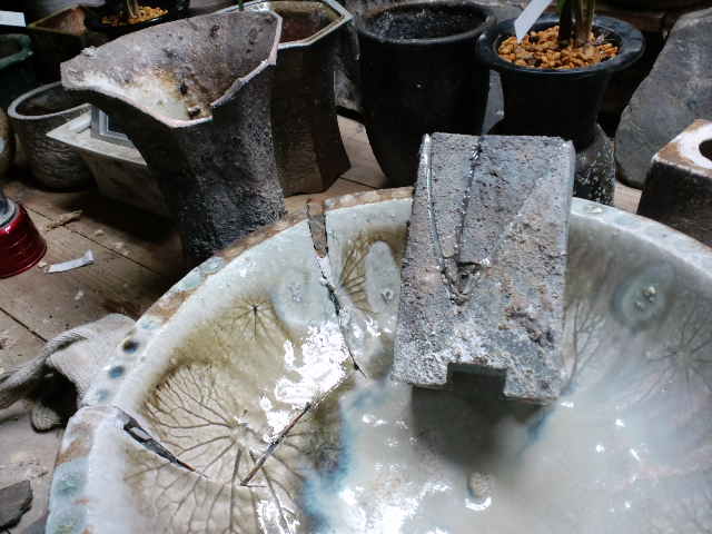 c0068168_189793.jpg