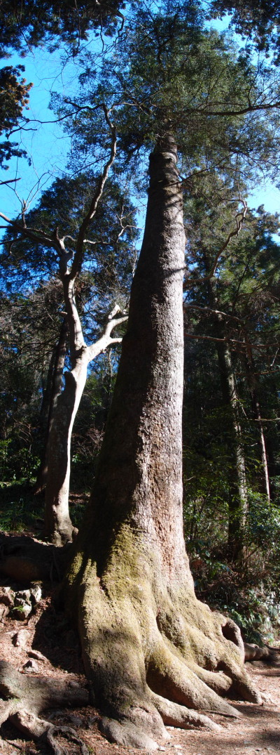 c0122670_18463967.jpg