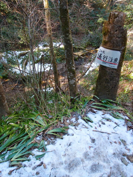 c0122670_18471196.jpg