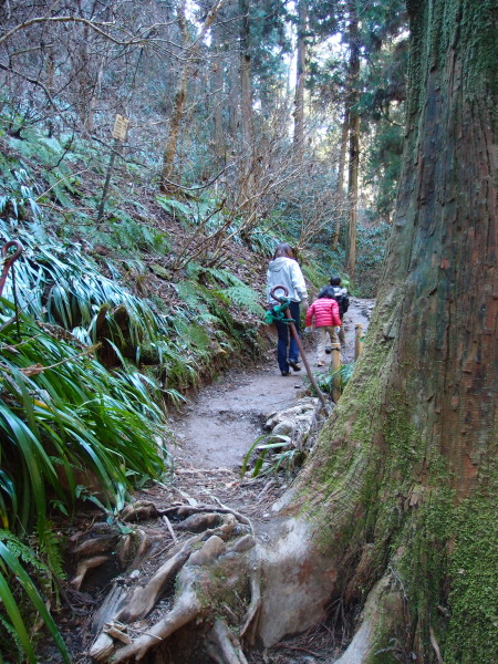 c0122670_18492453.jpg