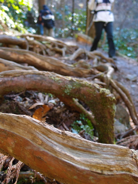c0122670_18495988.jpg