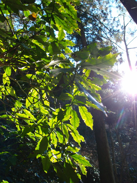 c0122670_18501335.jpg