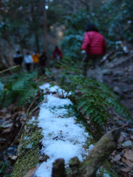 c0122670_1857081.jpg