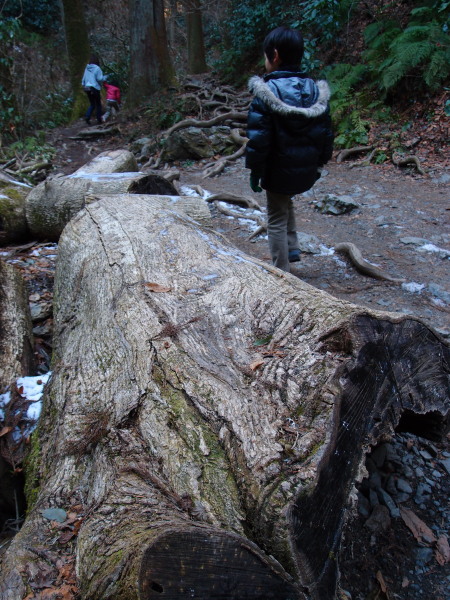 c0122670_18573556.jpg