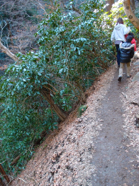 c0122670_18575694.jpg