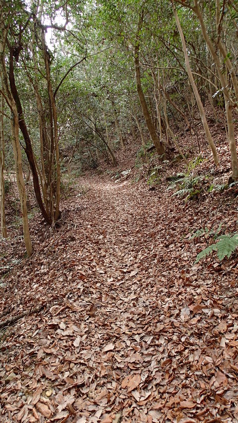 e0024081_17212014.jpg