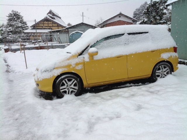 b0042882_023688.jpg