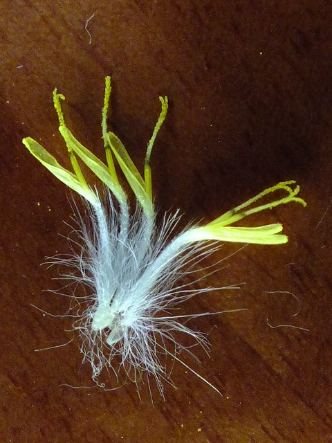 e0145782_16504320.jpg
