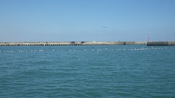 f0069890_16424027.jpg