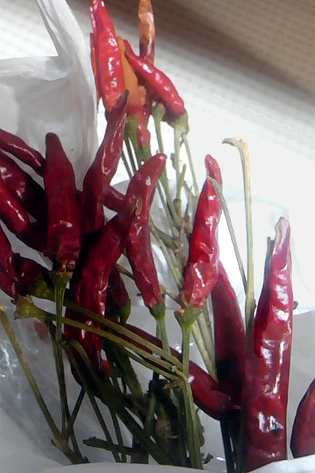 f0008597_2005069.jpg