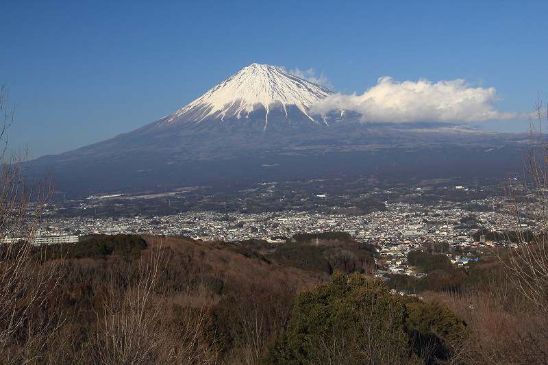 a0188405_7514913.jpg