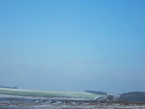 d0135907_3571169.jpg