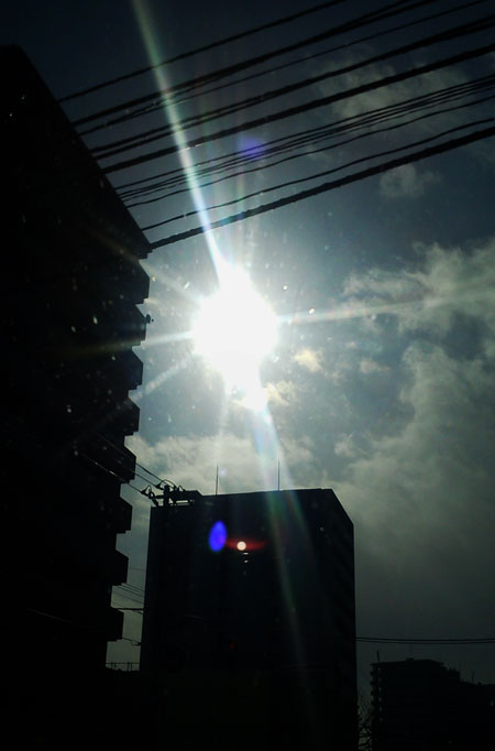 a0139912_10273071.jpg