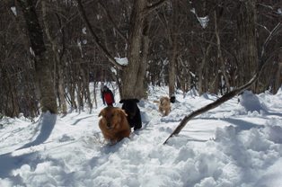 c0240318_12514964.jpg