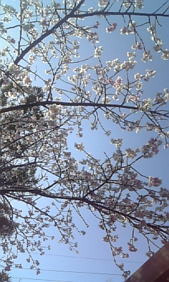 c0117621_0172133.jpg