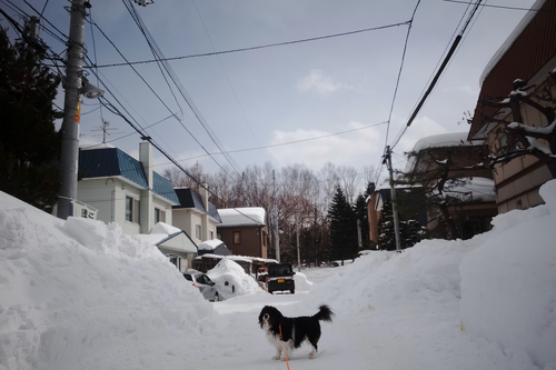 c0051132_228159.jpg