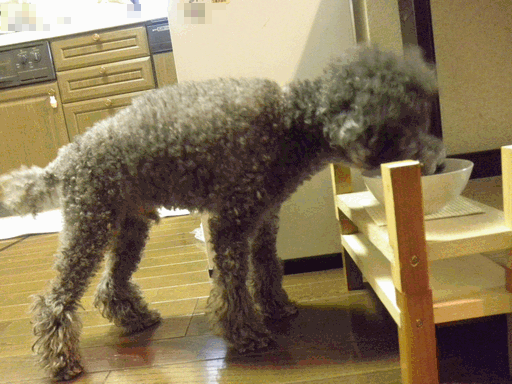 c0136736_9441364.gif