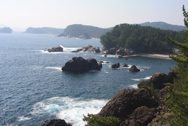 f0147037_2352018.jpg