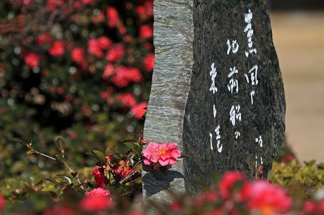 a0242438_21562845.jpg