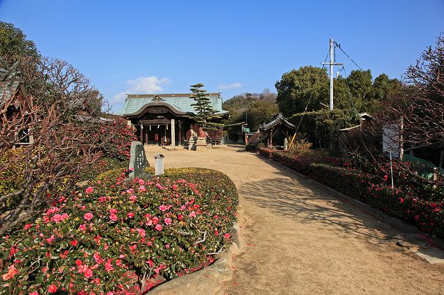 a0242438_2156427.jpg