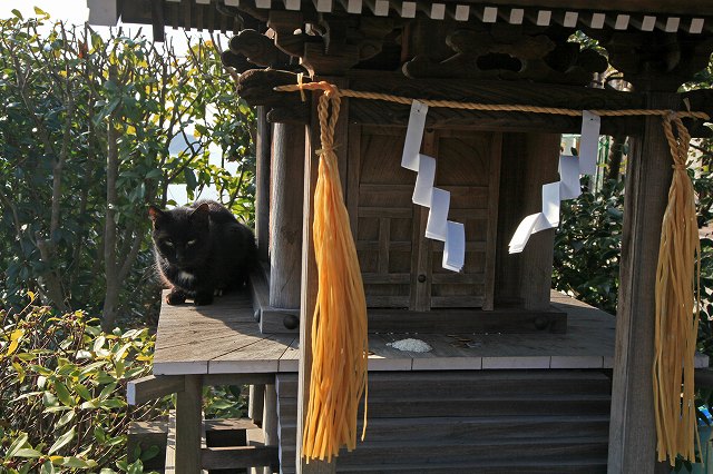 a0242438_21574927.jpg