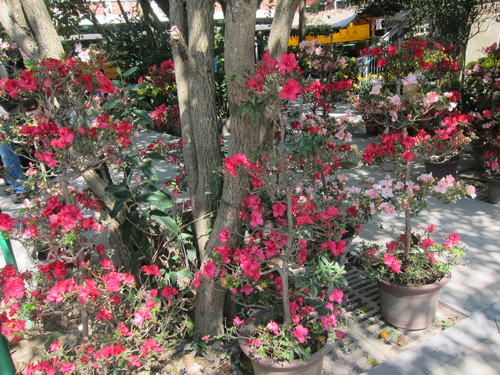 e0018143_1540011.jpg