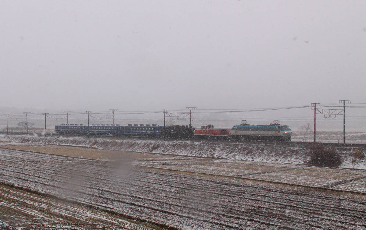 a0082347_13395875.jpg