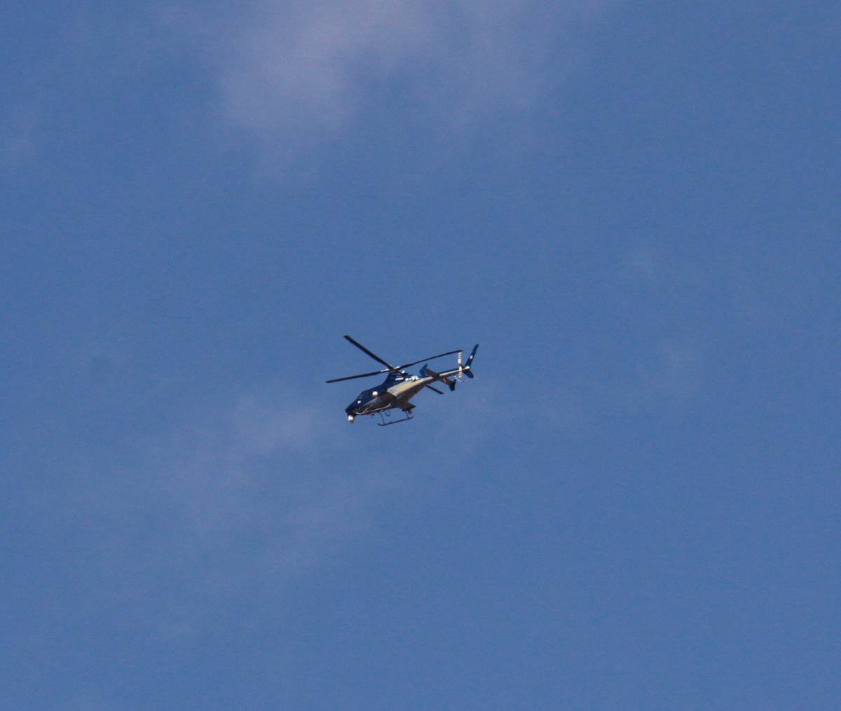 a0082347_13511494.jpg