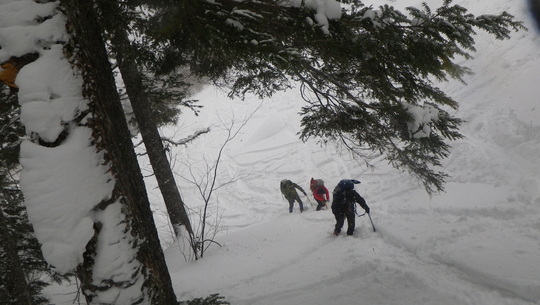c0042847_1524987.jpg
