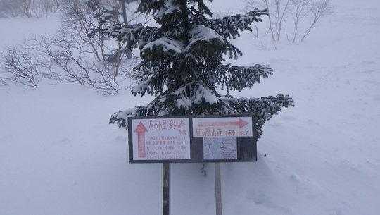 c0042847_1525215.jpg