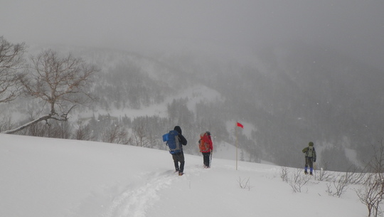 c0042847_15292099.jpg