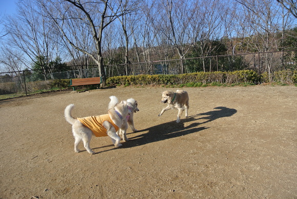 e0121548_1950194.jpg