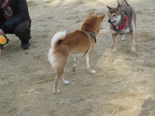 f0245650_21272149.jpg