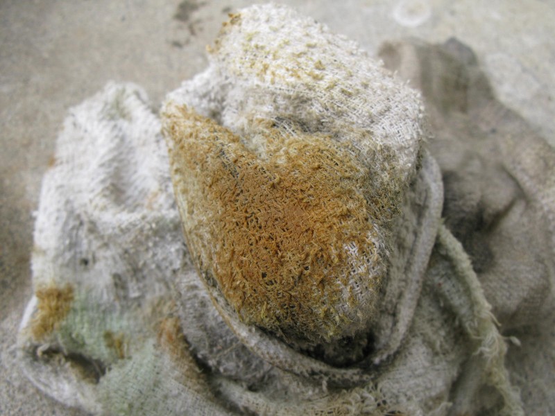 d0173255_2354289.jpg