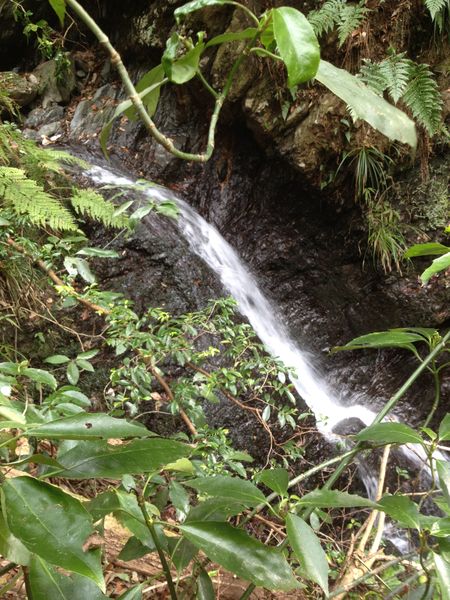 c0115660_20135024.jpg